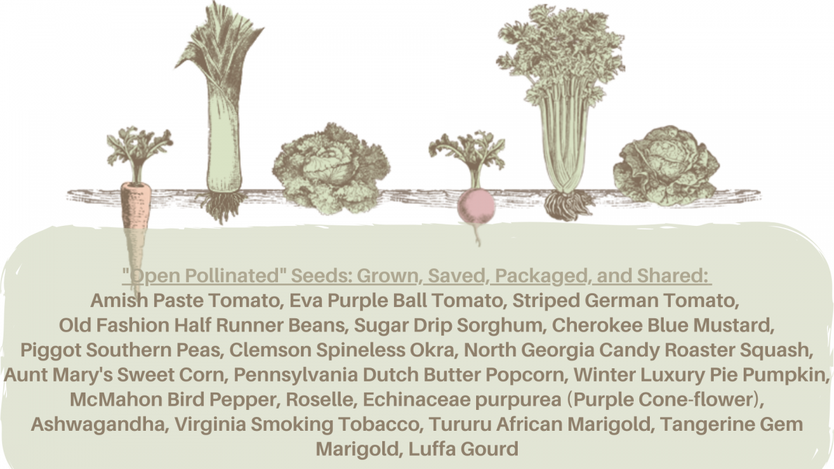 List of seeds donated to High Country Seed Libraries by Sustainable development