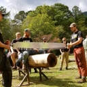 Timber Sports Team