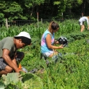 Students work on the farm